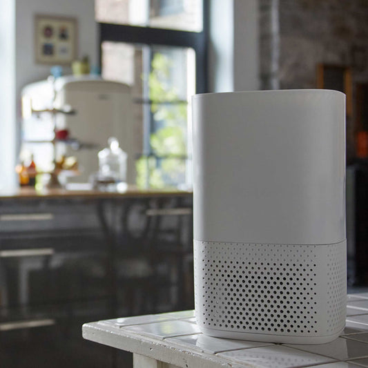 Lanaform Air Purifier – Kompakt luftrenare med HEPA-filter och jonisering